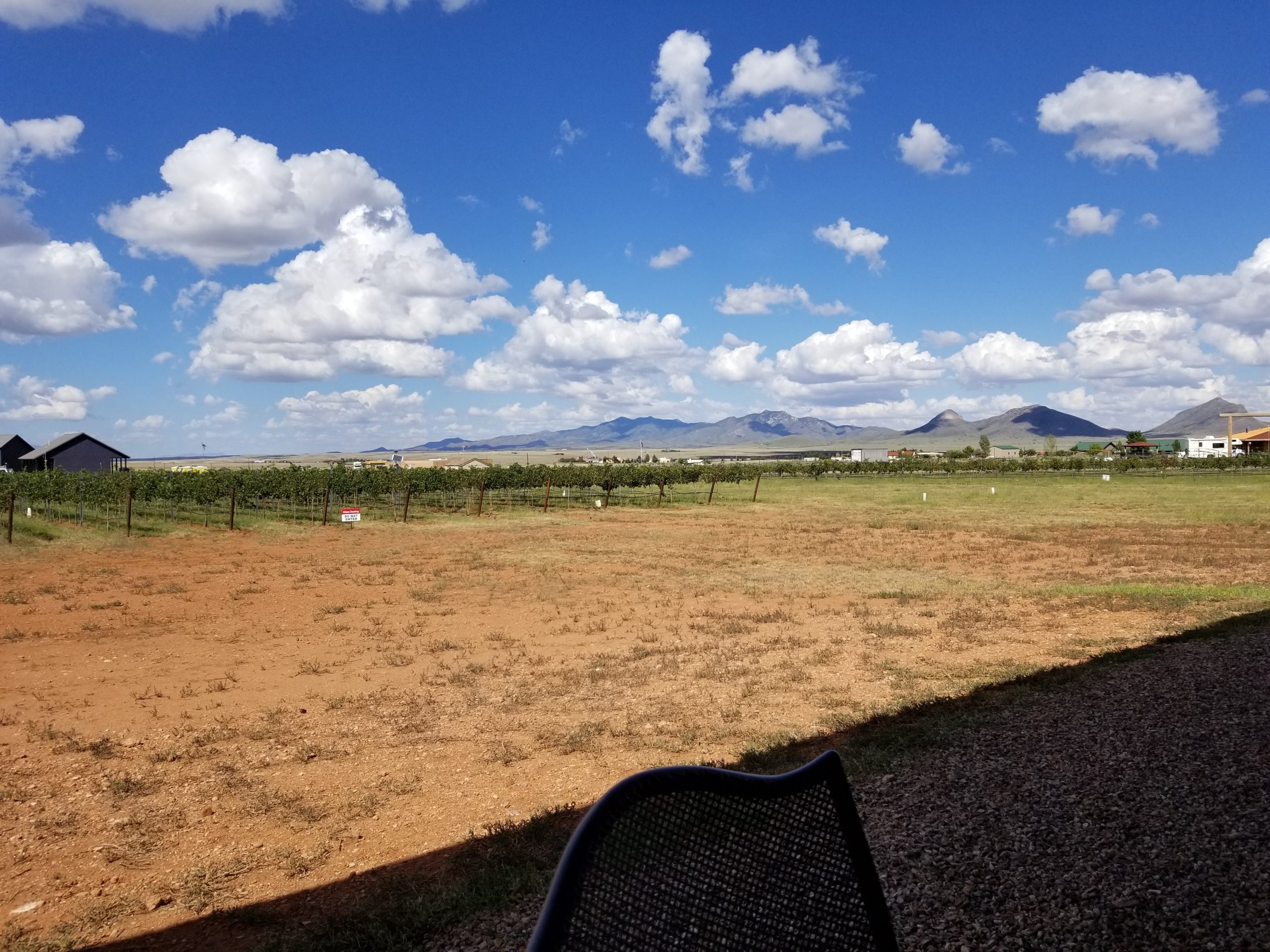 Back Vineyard and View