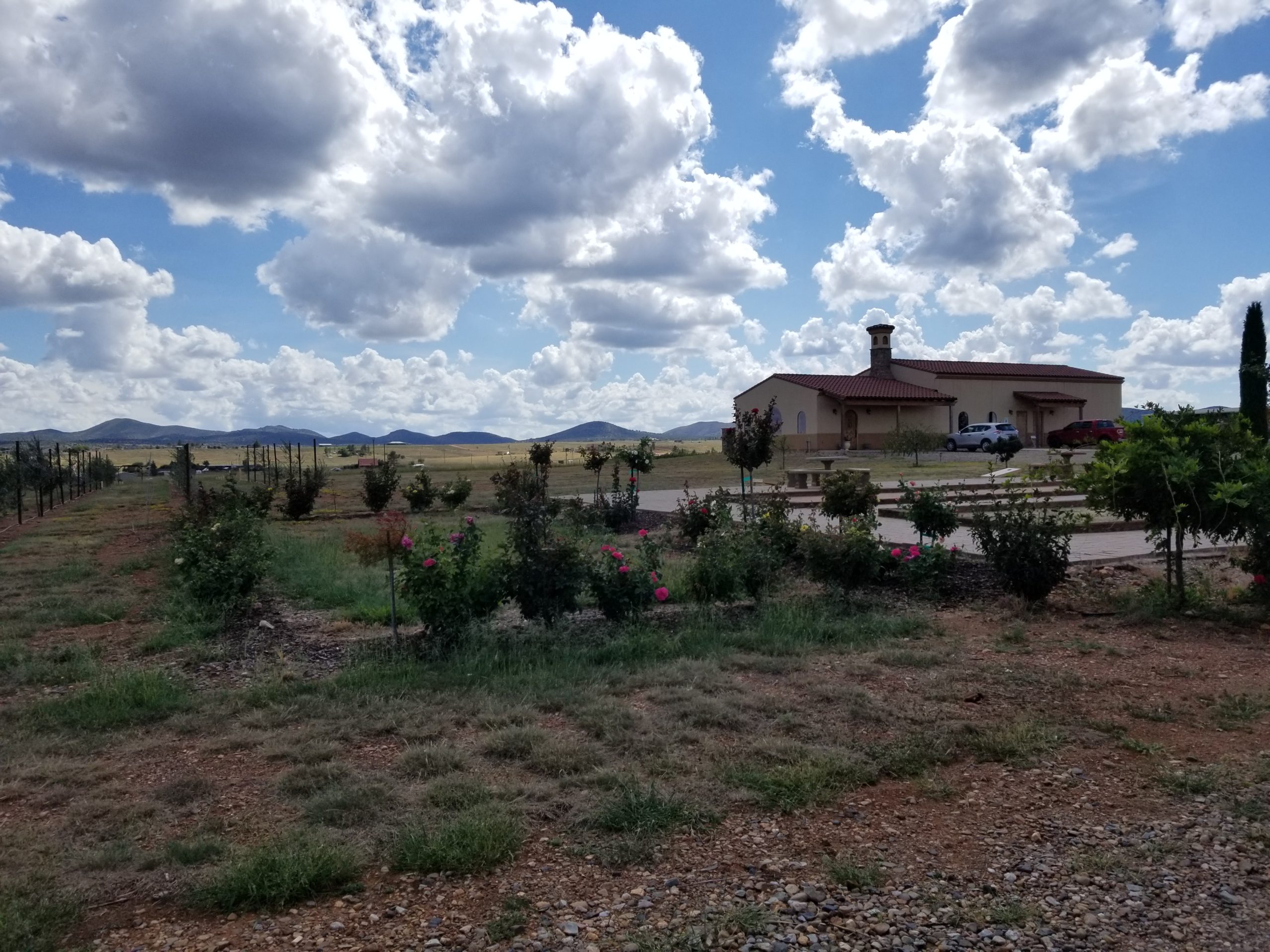 Lightning Ridge Cellars