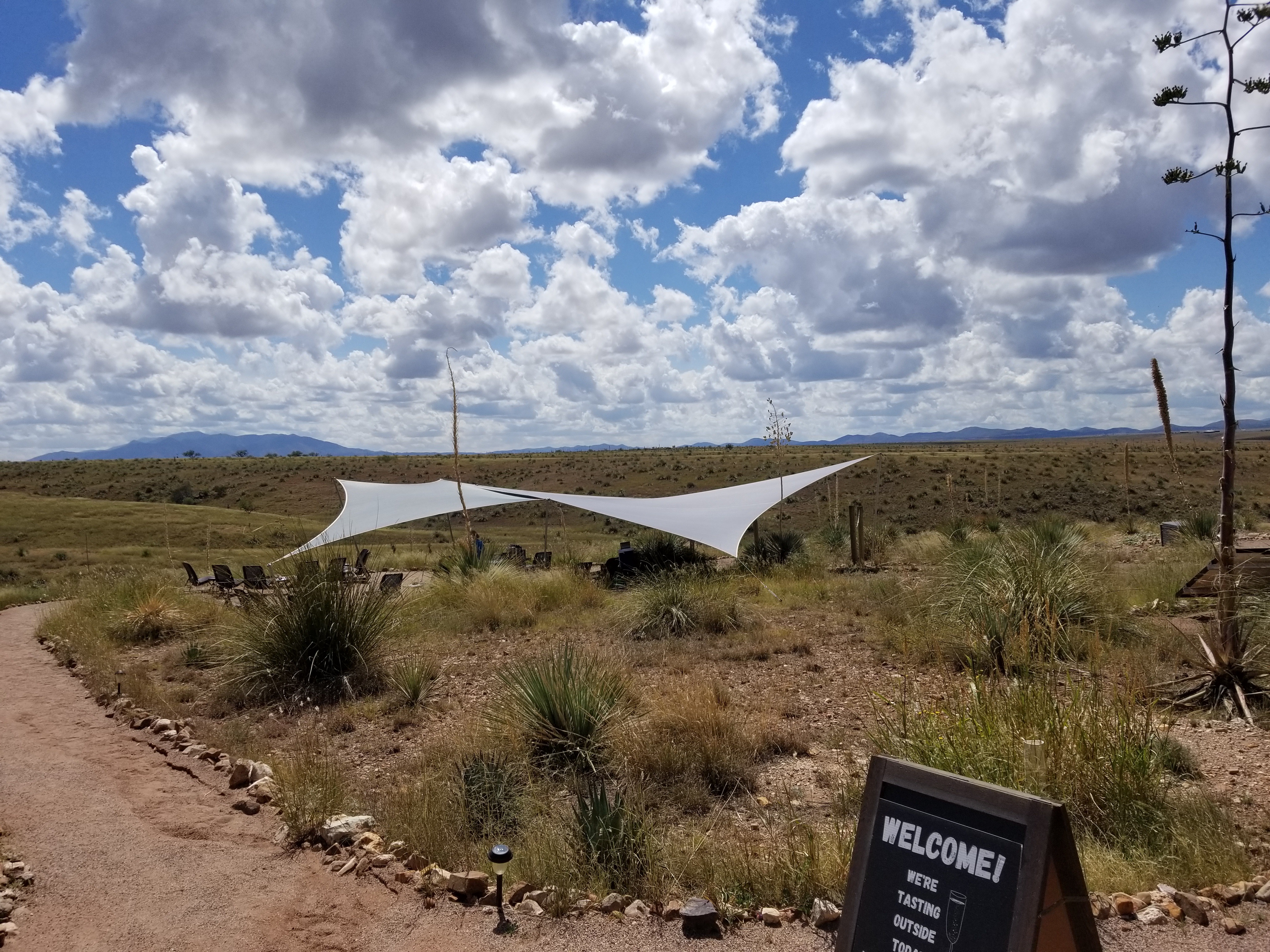 Rune Wines Tasting Area