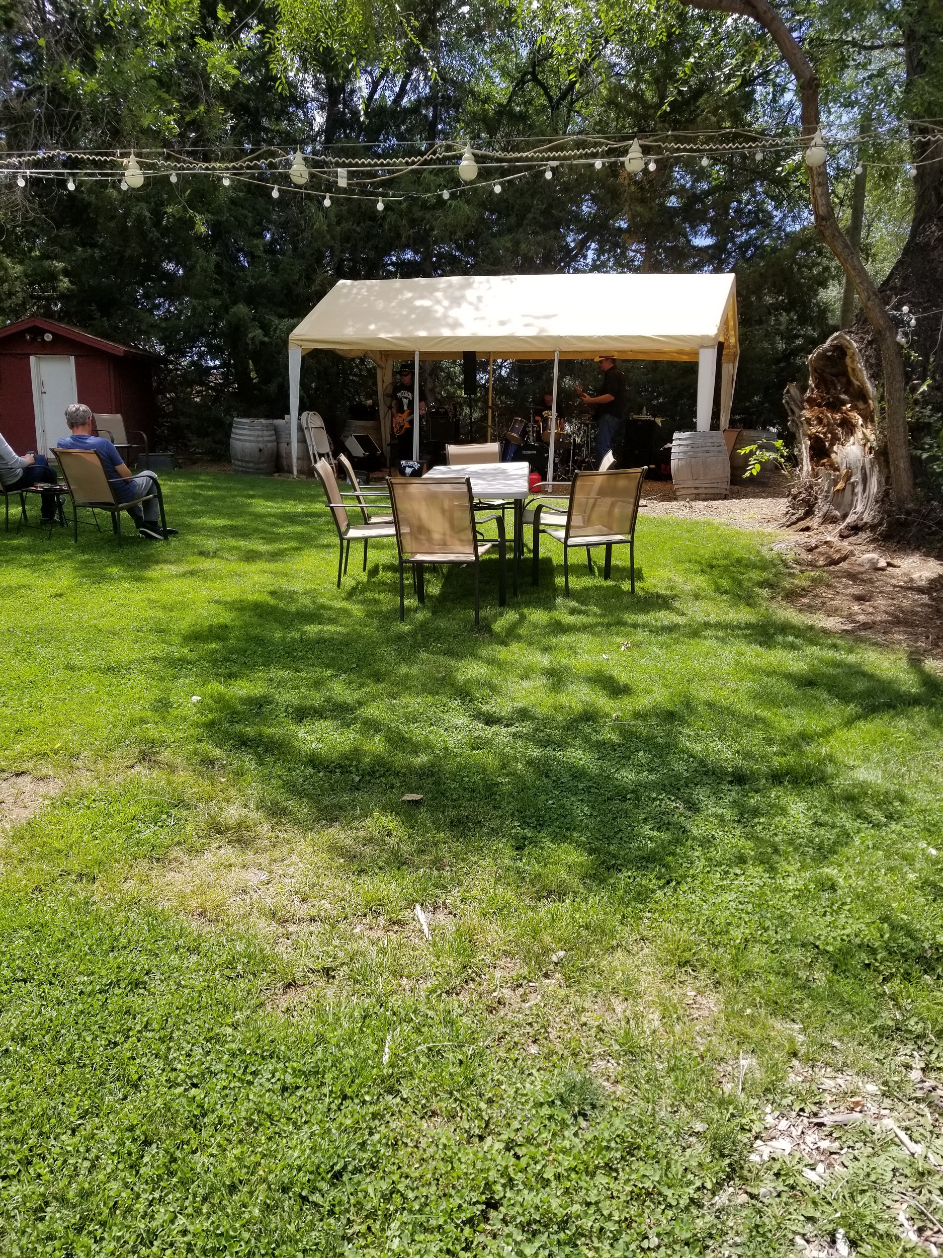 Granite Creek Vineyards, Chino Valley AZ